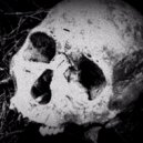 Haven - Aokigahara