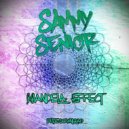 Sammy Senior - Mandela Effect (Original Mix)