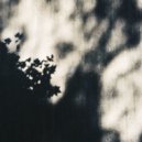 ZéM - Day and Night
