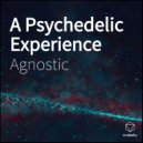 Agnostic - A Psychedelic Experience