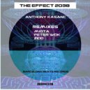 Anthony Kasanc - The Effect 2038 (Zioo Remix)