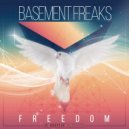 Basement Freaks - A Brighter Day