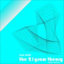 sasa radic - The 21 gram theory