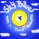 WTS - Sky Blue (feat. Tony Roberts) (Charles Jay Remix)