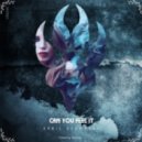 Erbil Dzemoski - Can You Feel It (Original Mix)