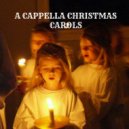 A Cappella Christmas Carolers - Lo How a Rose er Blooming