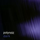 Polynoiz - Reset