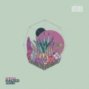 Raized - Brassev (Original Mix)