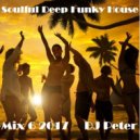 DJ Peter - Soulful Deep Funky House Mix 6 2017