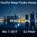DJ Peter - Soulful Deep Funky House Mix 7 2017