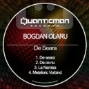 Bogdan Olaru - De ce nu