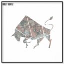 Alberto Ruiz - Optical Imagination