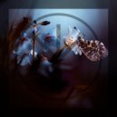 Blackbird - Butterfly