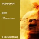 David Balmont - Two Bodies And One Mind