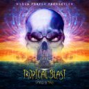 Wishi & Cosmic Brahma - Indiadelic (Original mix)
