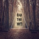 Can You Not! - Diamond (Original Mix)