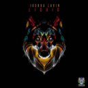 Joshua Lavin - Liquid (Original Mix)