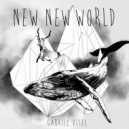 Gabriel Vitel - Unkown Places (Tony Casanova Remix) (Original Mix)