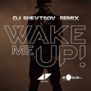 Avicii feat. Aloe Blacc - Wake Me Up