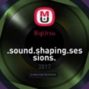 BigUrsu - .sound.shaping.sessions.