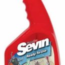 Sevin - You Sometin