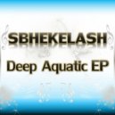 Sbhekelash & Da Guggs - Technical Error (Main mix)