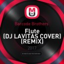 Barcode Brothers - Flute (DJ LAVITAS COVER REMIX)