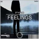 Pyro - Feelings