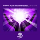 Spherical Bloom & Hidden Tigress & Hidden Tigress - Aura of Love (feat. Hidden Tigress)