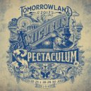 Eric Pridz - Tomorrowland 2017