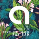 RAY SAM - Forgot The feeling