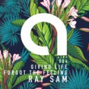 RAY SAM - Forgot The feeling (Original Mix)