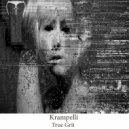 Krampelli - Tech in my house