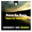 Nora En Pure - Tears In Your Eyes (Monkey MO Remix)