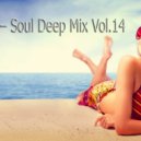 DJ Forss - Soul Deep Mix Vol.14