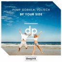 Pump Gorilla, Voltech - By Your Side