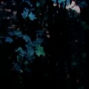 Homeomorphic - Roots