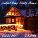 DJ Peter - Soulful Deep Funky House Vol 12 2017