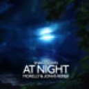 Shakedown - At Night