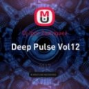 Dj Igor Zazhigaev - Deep Pulse Vol12