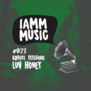Robert Feelgood - Luv Honey (Original Mix)