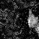 Compiled by M. K. - AnimoEx ( Chillout, Downtempo, Ambient ) (Mix)