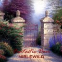 Niblewild - Fantastic Door