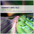 Moonnight & Angel Falls - Love Is the Key