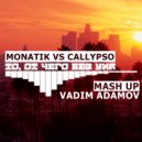 MONATIK vs. Callypso - То, от чего без ума (Vadim Adamov Mashup) ()