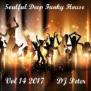 DJ Peter - Soulful Deep Funky House Vol 14 2017