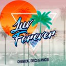 Chemical Disco, ANICIO - Luv Forever