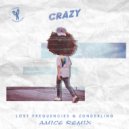 Lost Frequencies & Zonderling - Crazy