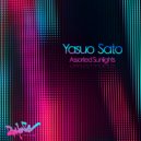 Yasuo Sato - White Salt