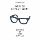 Neelix - Expect What (Sphynx on Acid Bootleg)